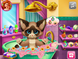 Kitten Bath - screenshot 1
