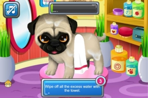 Paws to Beauty: Puppies and Kittens - screenshot 1