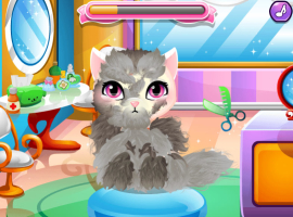 Stray Kitty Care - screenshot 1