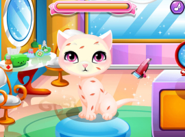 Stray Kitty Care - screenshot 2
